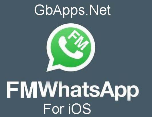 Fouad WhatsApp: Full Setup Guide